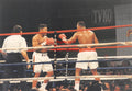 Boxing Photo #1351 - Larry Holmes vs. Ray Mercer 1992 Vintage Snapshot Photograph