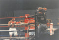 Boxing Photo #1368 - Larry Holmes vs. Ray Mercer 1992 Vintage Snapshot Photograph