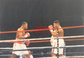 Boxing Photo #1354 - Larry Holmes vs. Ray Mercer 1992 Vintage Snapshot Photograph