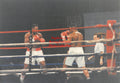 Boxing Photo #1369 - Larry Holmes vs. Ray Mercer 1992 Vintage Snapshot Photograph