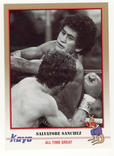 1991-92 Kayo Boxing Cards Unopened Wax Box (36 Packs ) Rookie Cards of ROY JONES JR., LENNOX LEWIS, ARTURO GATTI and more